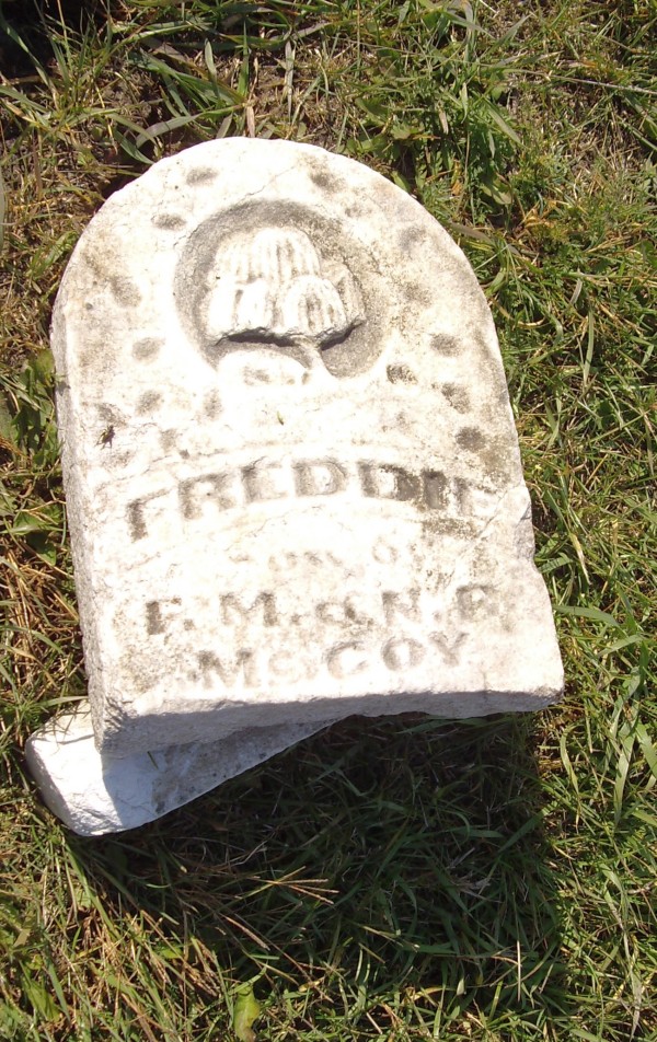 Freddie McCoy prather pioneer cemetery monroe county iowa