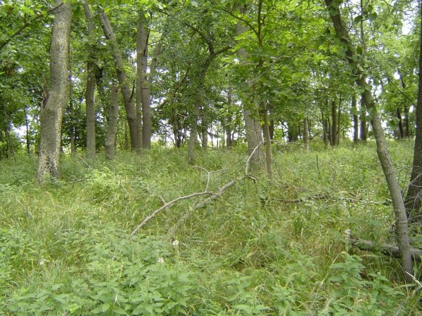 Ford Cemetery
