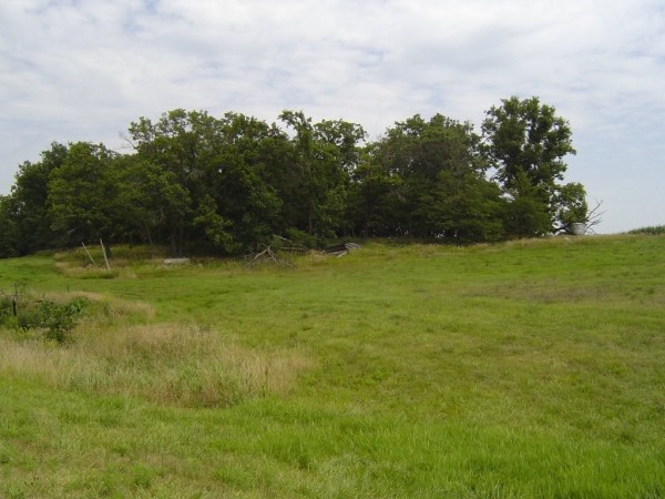 Ford Cemetery 3